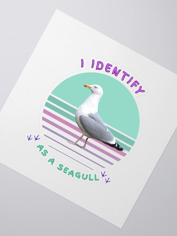 I Identify as a Seagull Stickers product image (4)