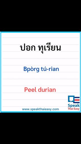 Peel durian🔪ปอกทุเรียน🔪bpòrg tú-rian✅ #SpeakThaiEasy #speakthai #LearnThai #Basicthai #thailanguage #travelthailand #Learning...