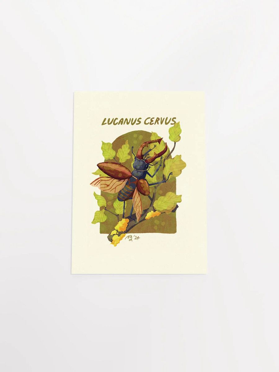 Stag Beetle Print product image (7)