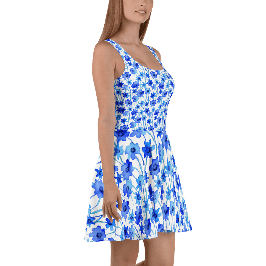 Blue Borage Skater Dress product image (3)