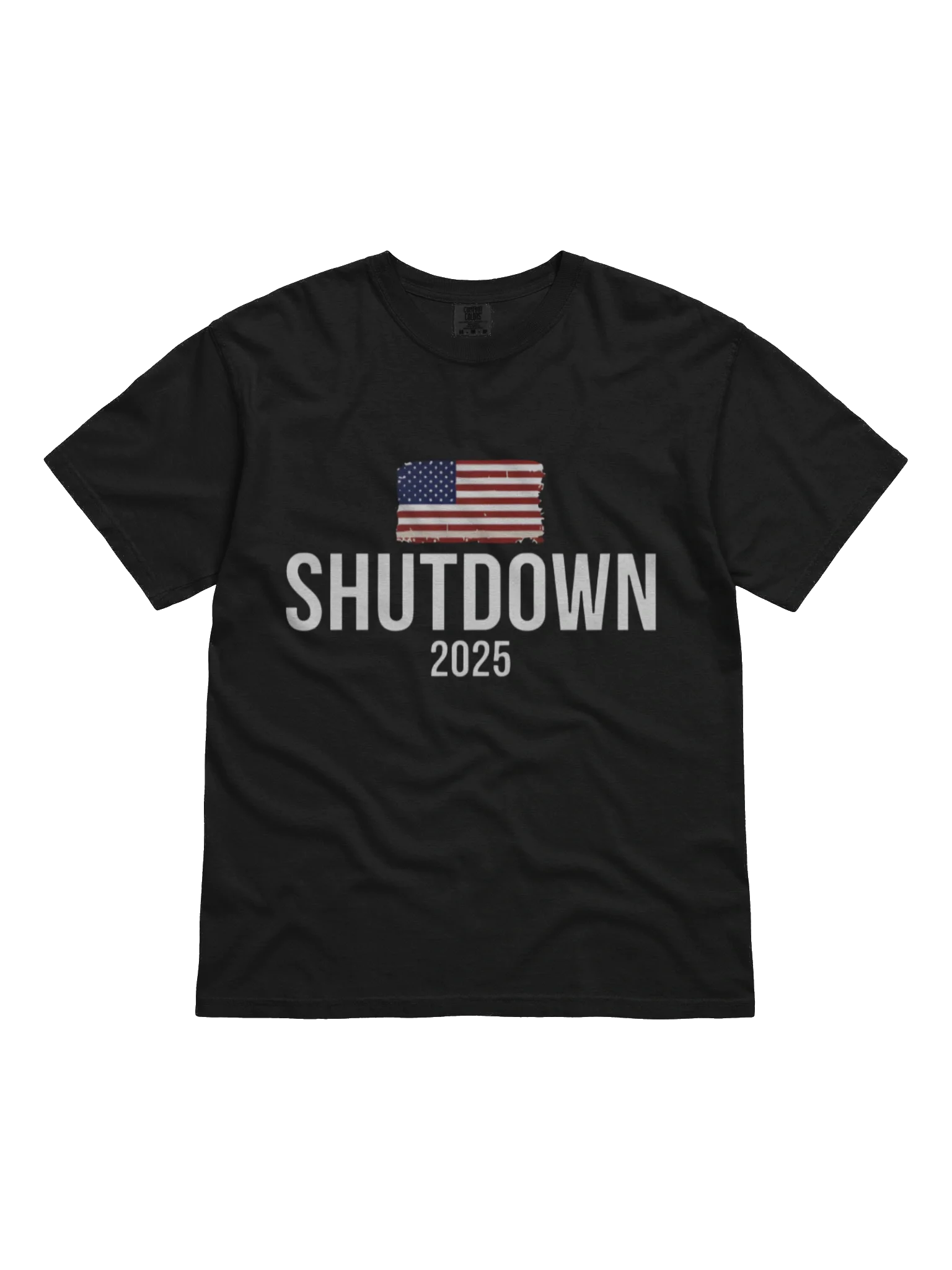 The Shutdown 2025 USA T-Shirt product image (1)