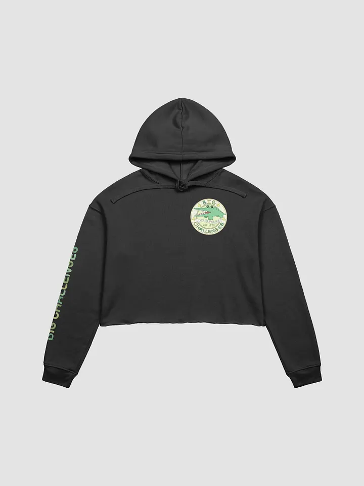 Lil Big Challenges Cropped Hoodie product image (1)