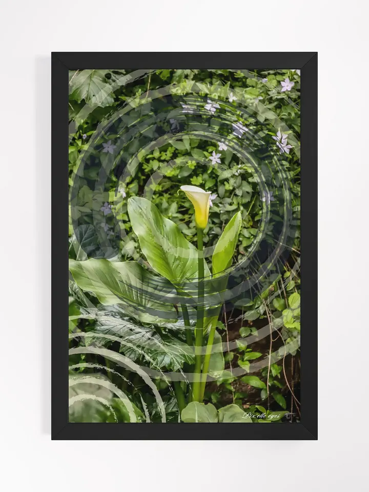 GeoGraphik Art Print – Rayol Canadel – White Arum product image (2)