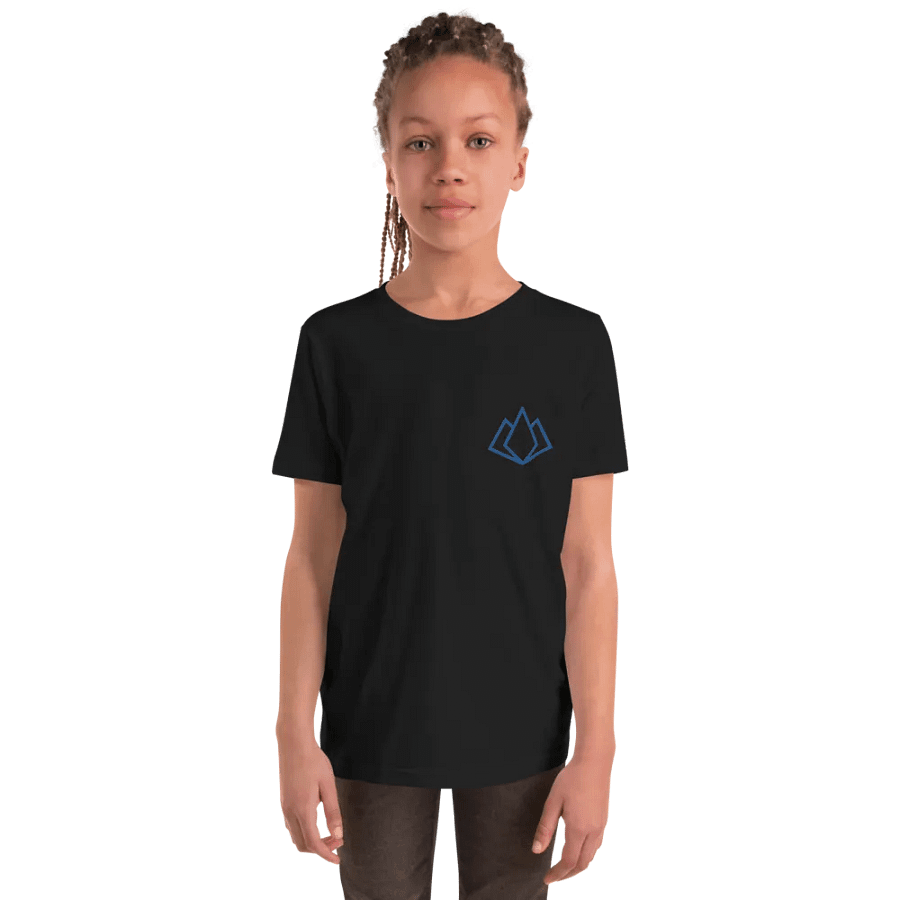 Youth Tee - Embroidered product image (6)