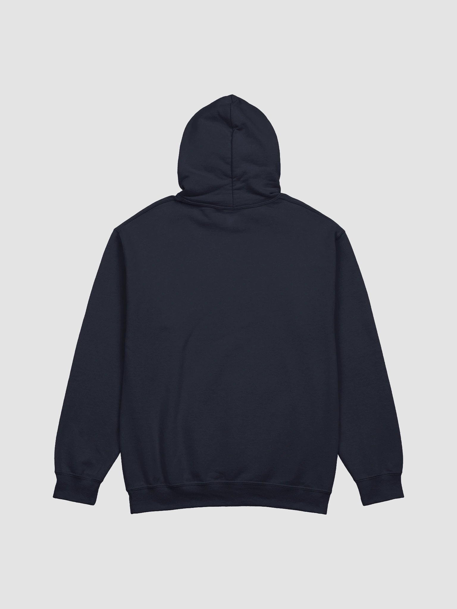 Mid-century birds graphic hoodie product image (14)