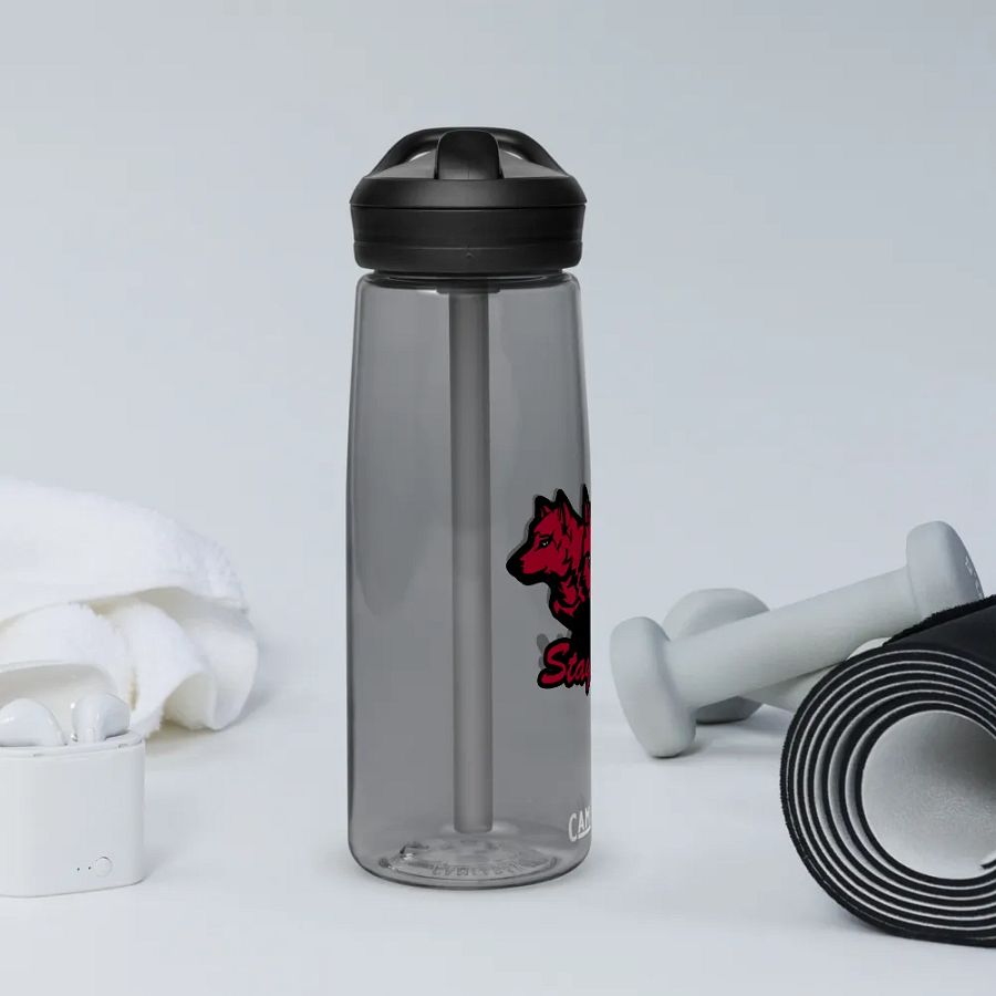 Stay Wild Water Bottle product image (11)