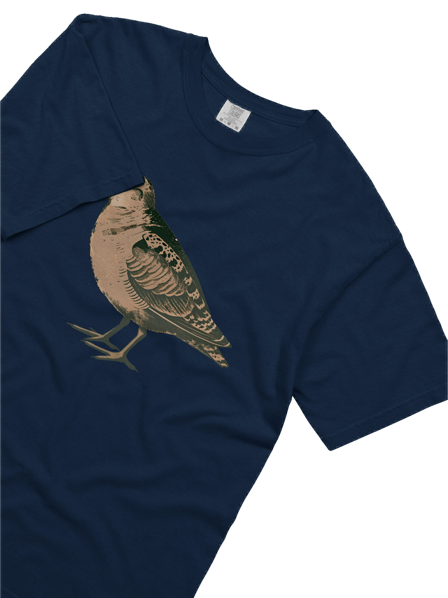 Woodcock Bird Garment Dyed Tee product image (43)