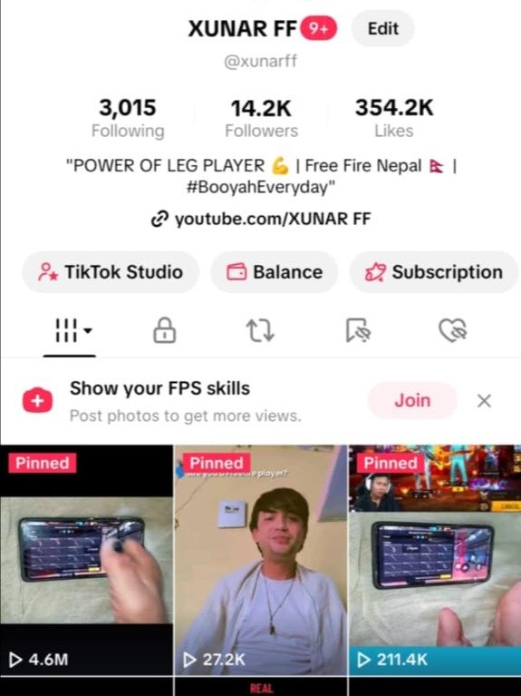 TikTok I'd sell product image (1)