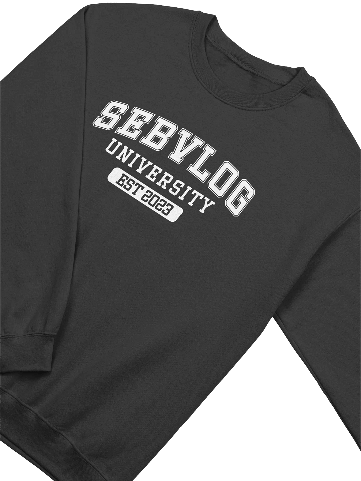 SebVlog University Crewneck product image (8)