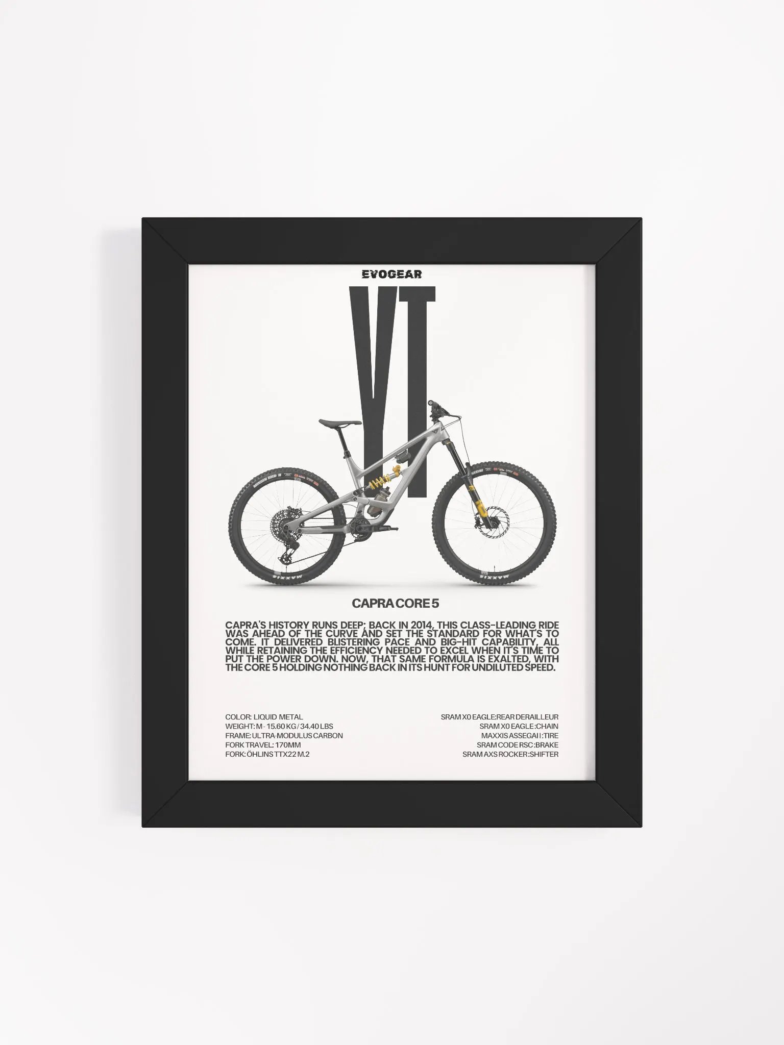 YT Capra Core 5 Frame product image (4)
