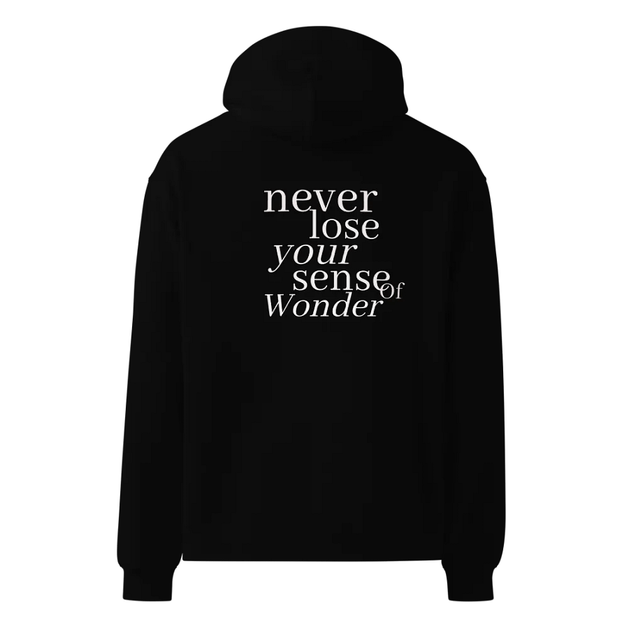 Always Wonder Black Unisex Premium Oversized Hoodie product image (3)