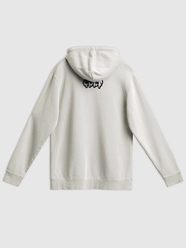 PUNK ROCK WHORE HOODIE product image (2)