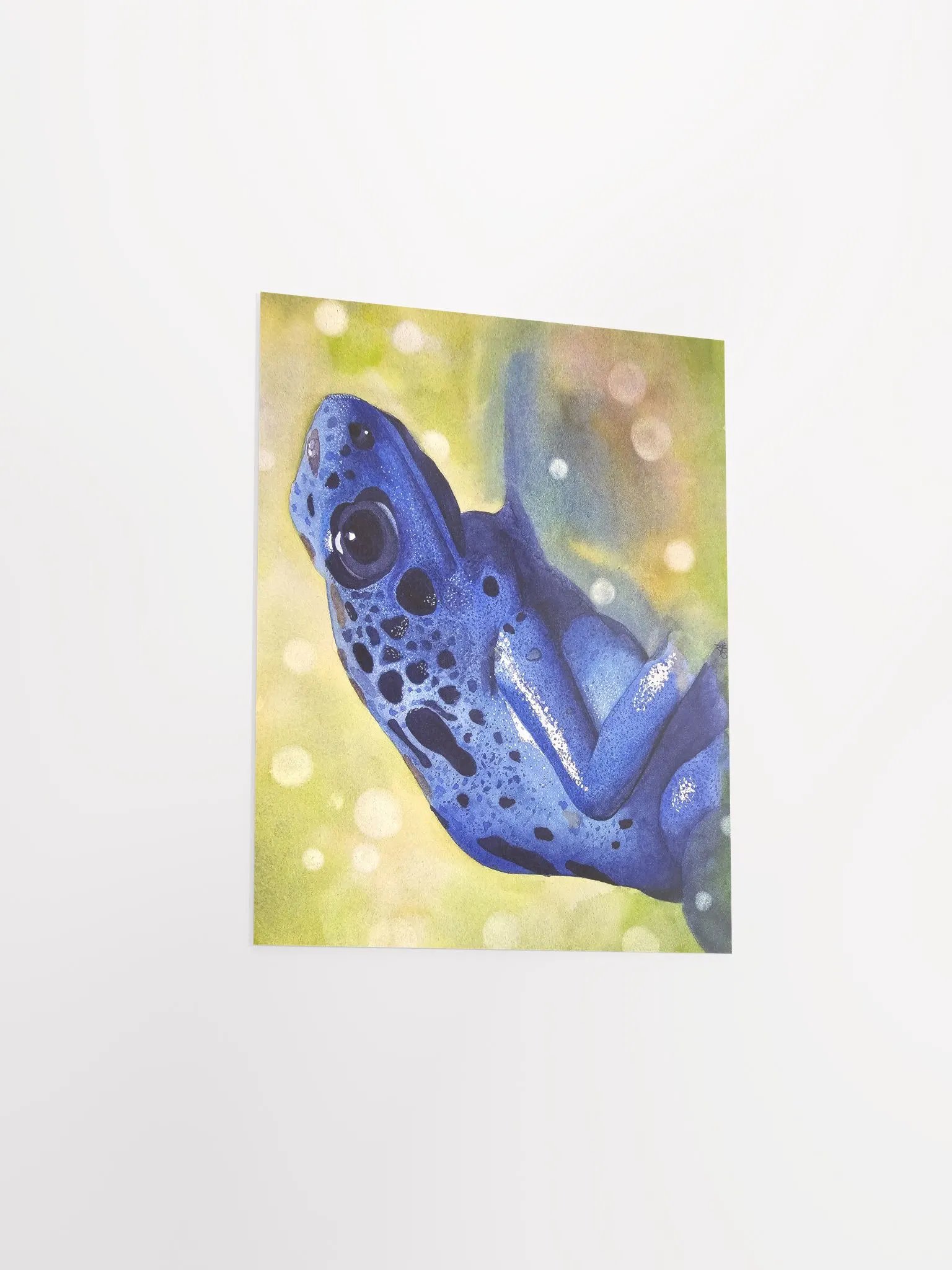Randolf - Poison dart frog - print product image (3)