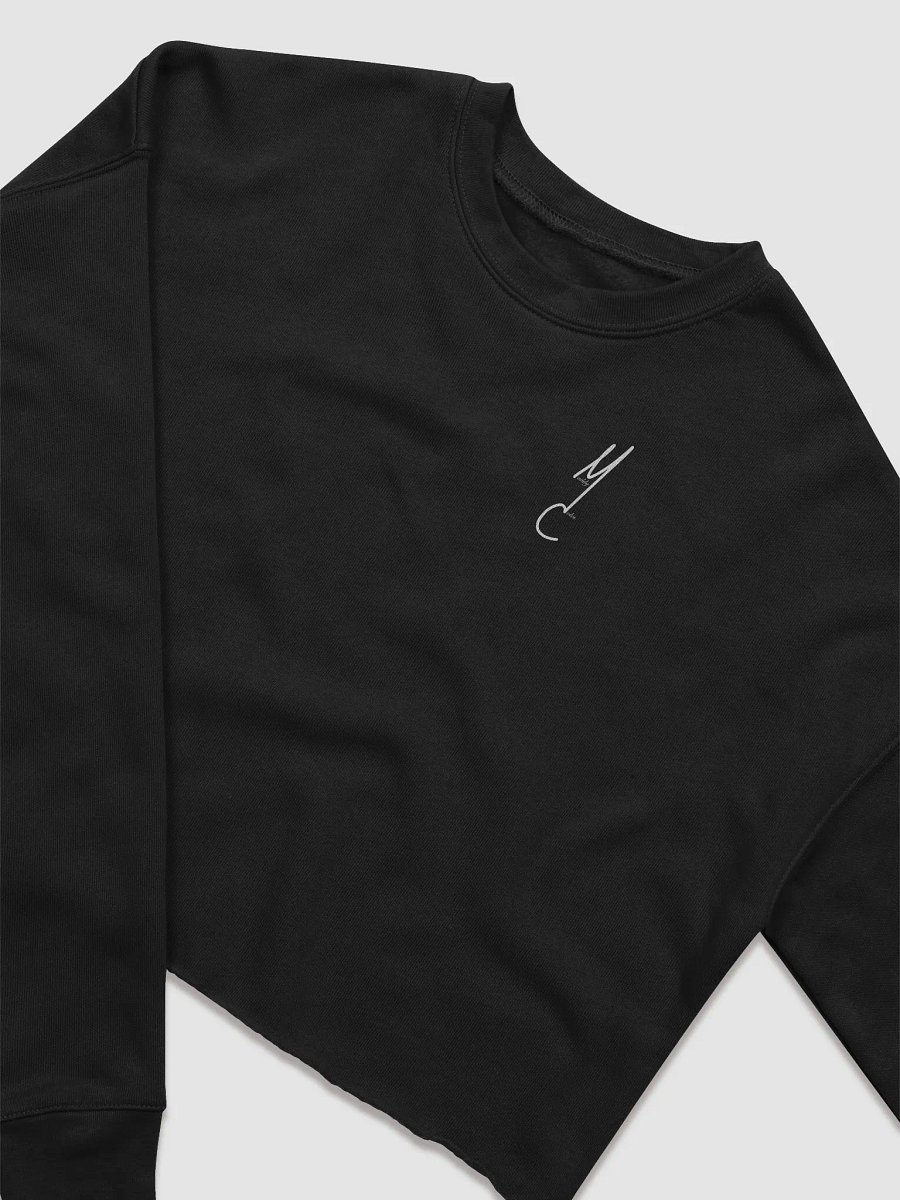 Heart on Fire Cropped Sweatshirt product image (12)
