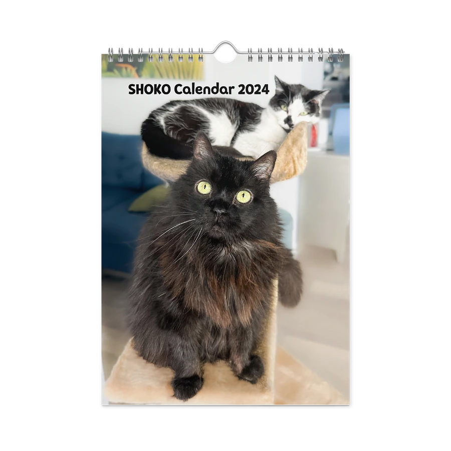 The 2024 ShoKo Cat Calendar product image (4)