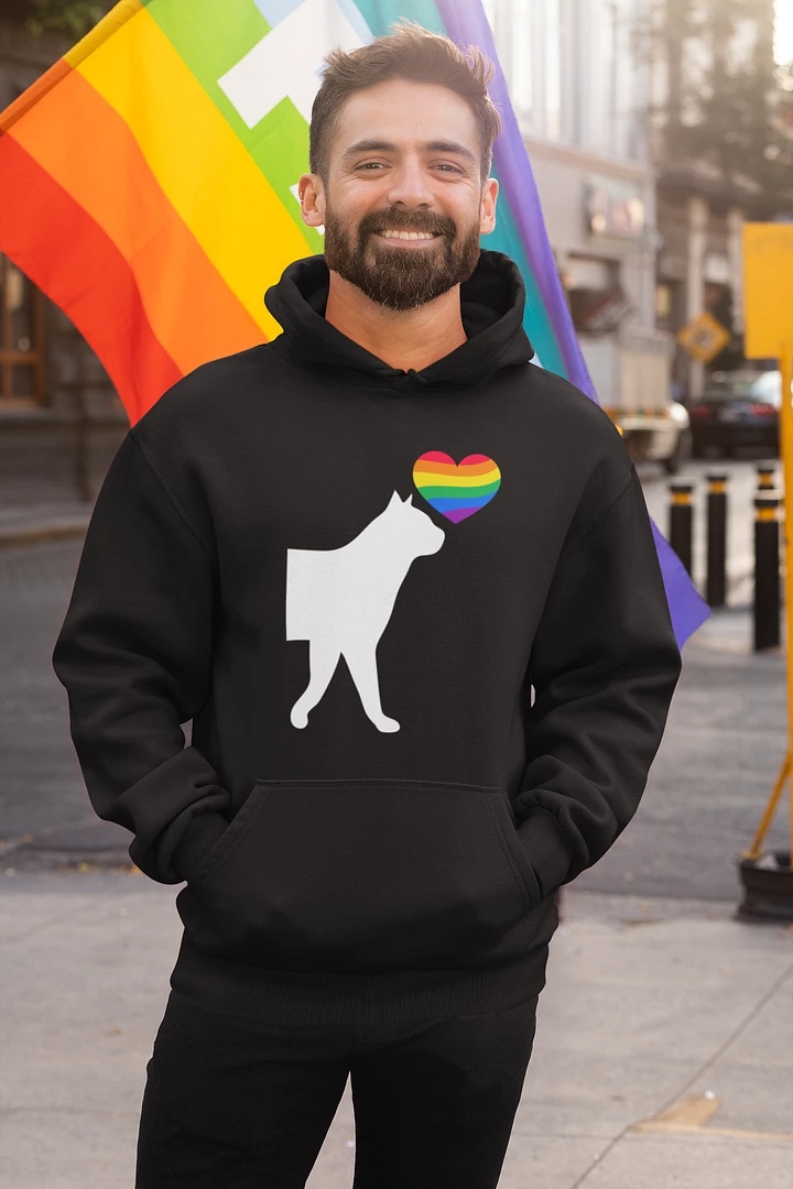 LGBTQ+ Hoodie Pussycat Rainbow Heart (dark) product image (2)