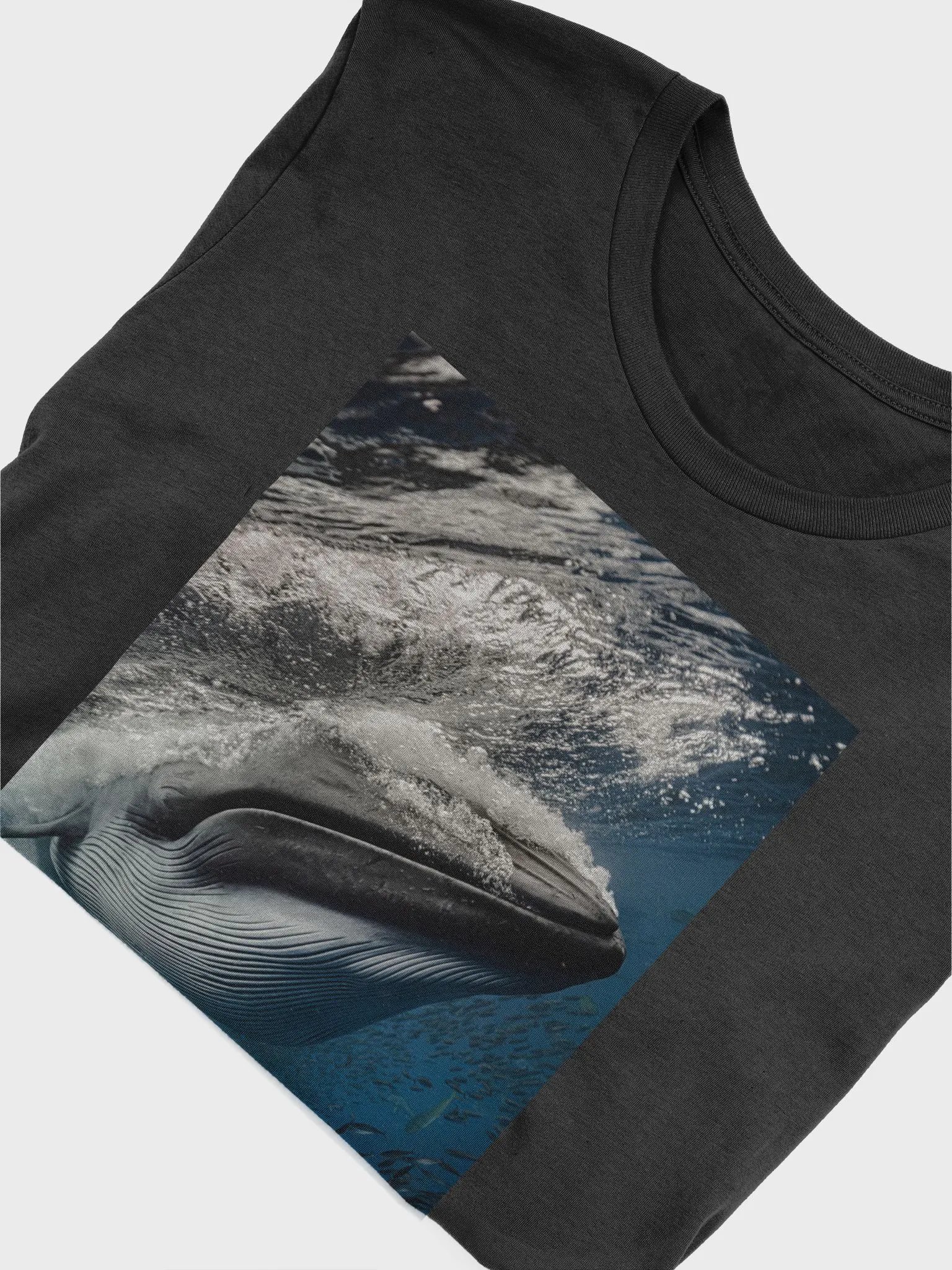 Bryde's Whale-T-Shirt product image (5)