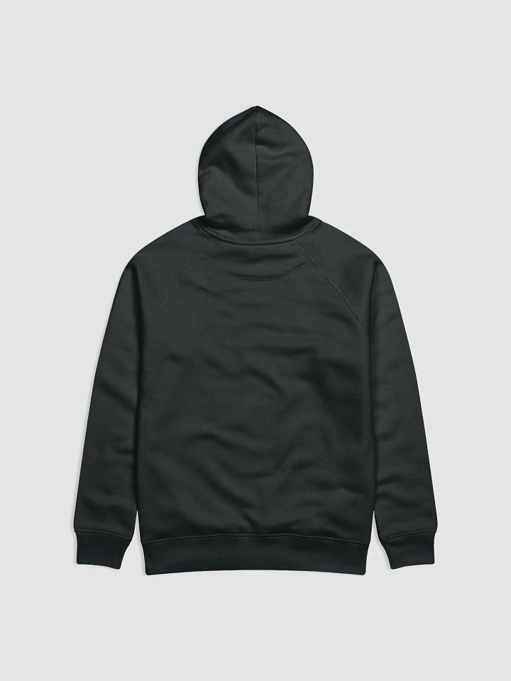 Colorful Potted Cacti And Succulents Unisex Eco Hoodie product image (2)