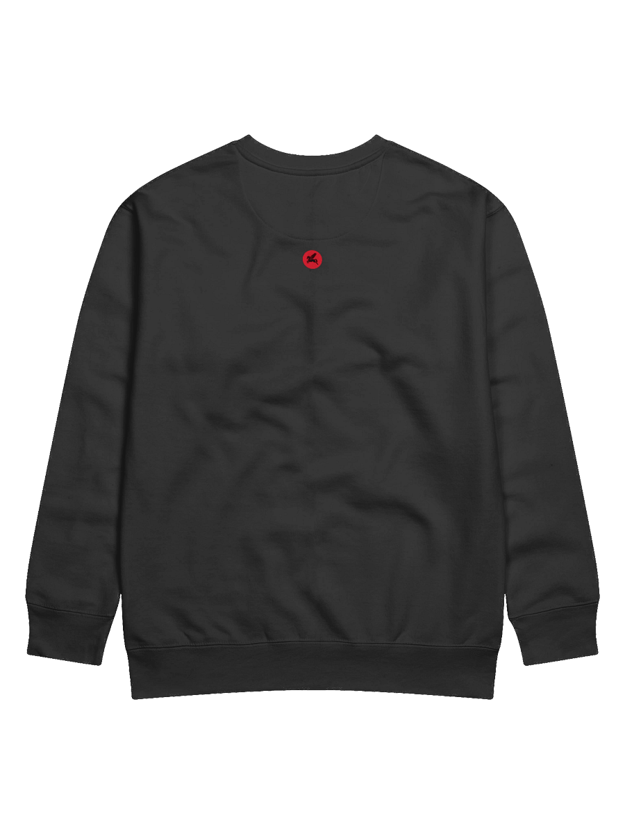 Mysteries of Mythology Hoodie - Distorted Logo Sweat product image (4)