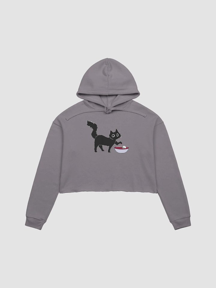 my BORSCHT fleece crop hoodie product image (2)