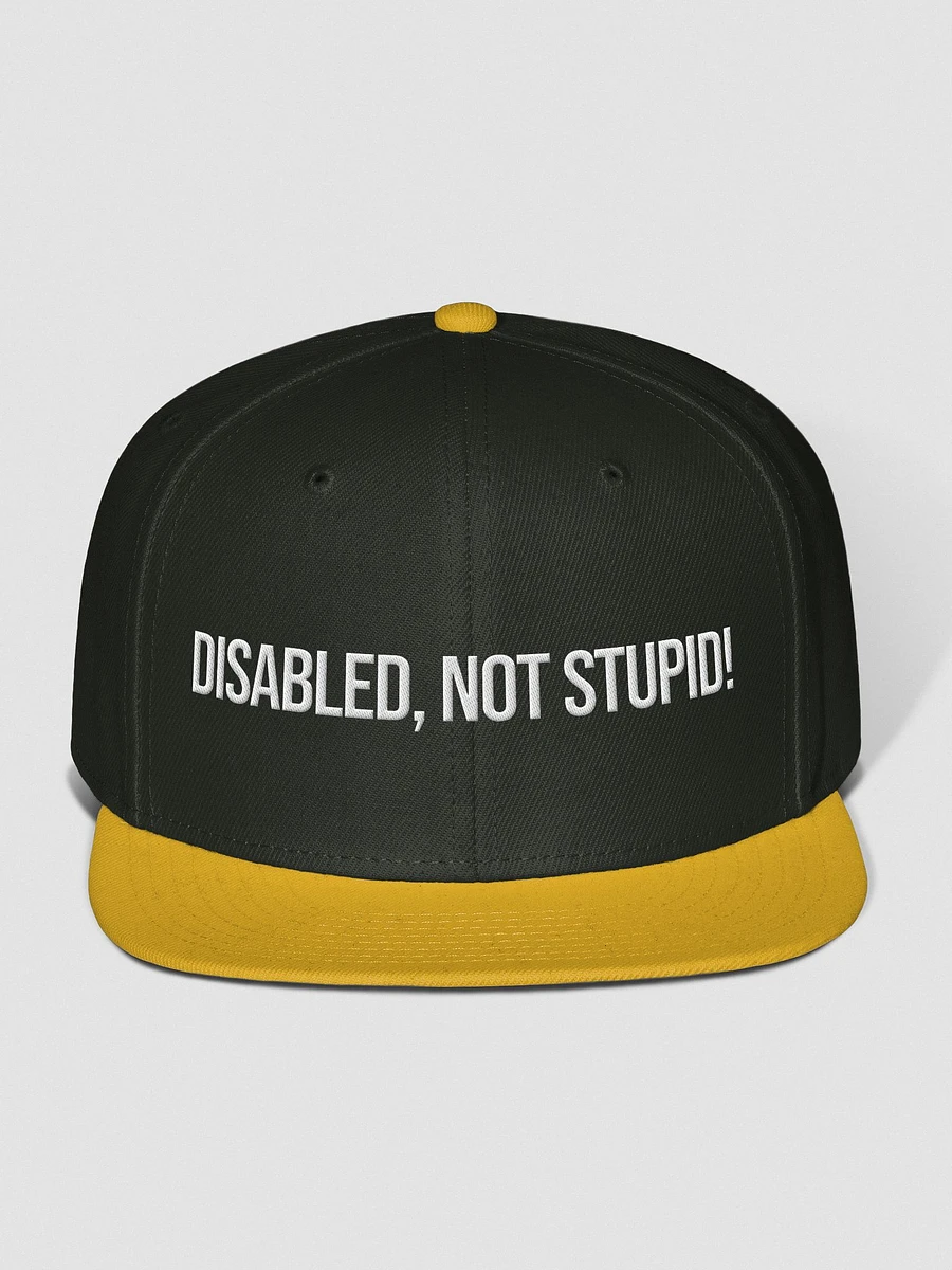 Disabled, Not Stupid! Cap product image (10)