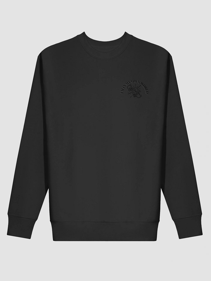 Bursting Sweater product image (13)