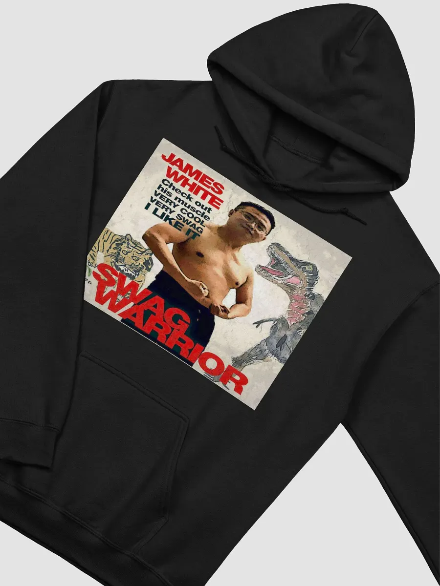 Gildan Classic Hoodie: swag warrior product image (19)