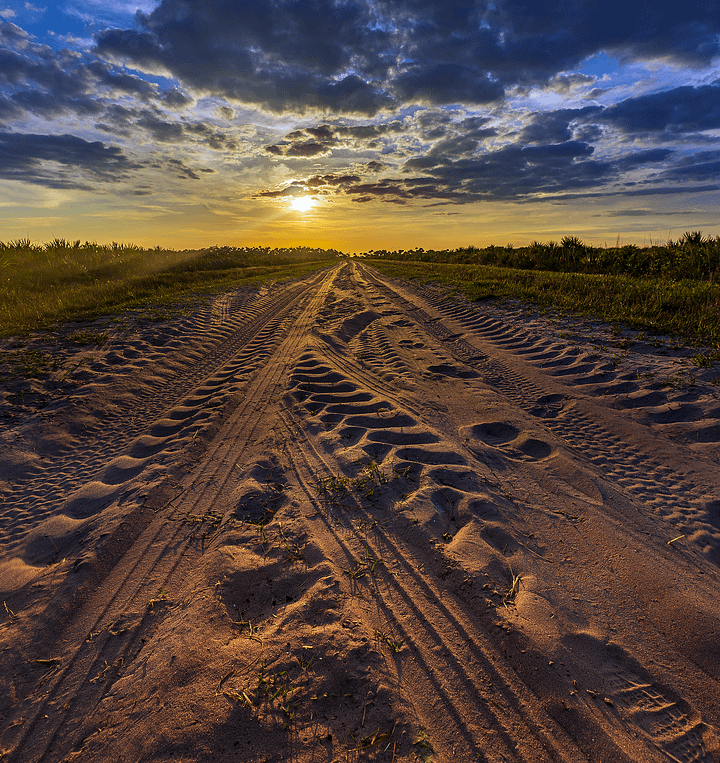 Kissimmee Prairie Sunset product image (2)