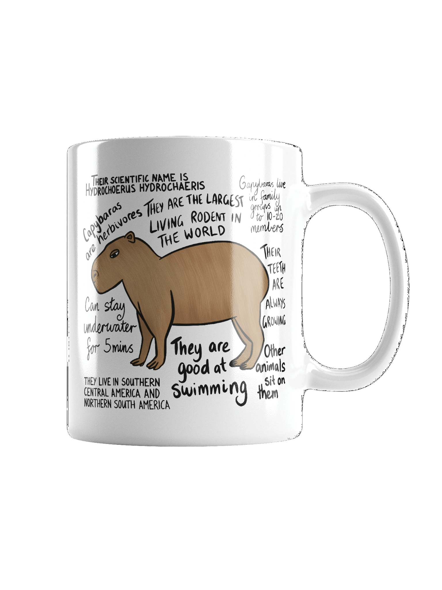 Capybara Facts Mug product image (4)