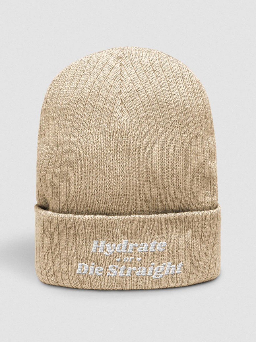 Hydrate Ribbed Beanie product image (1)