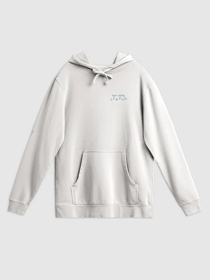 *not* mentally linear (sm. lined design, #709AAF) printed pigment hoodie product image (13)