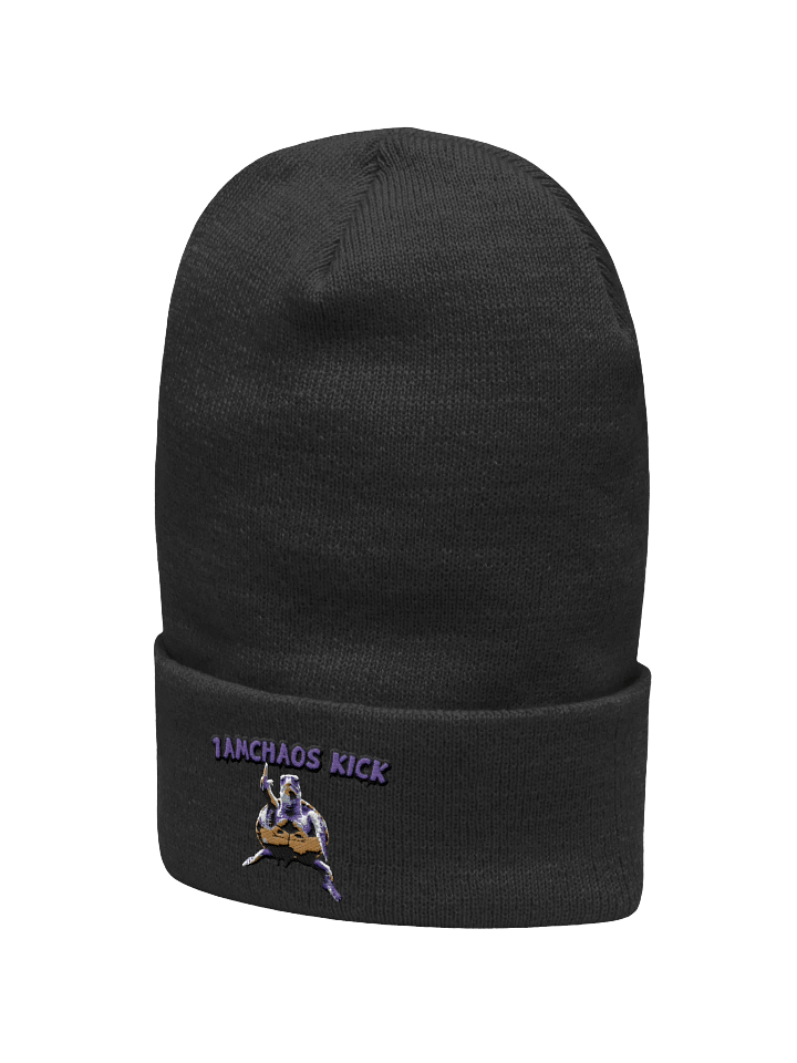 Chaos Kick Turtle Power Beanie product image (15)