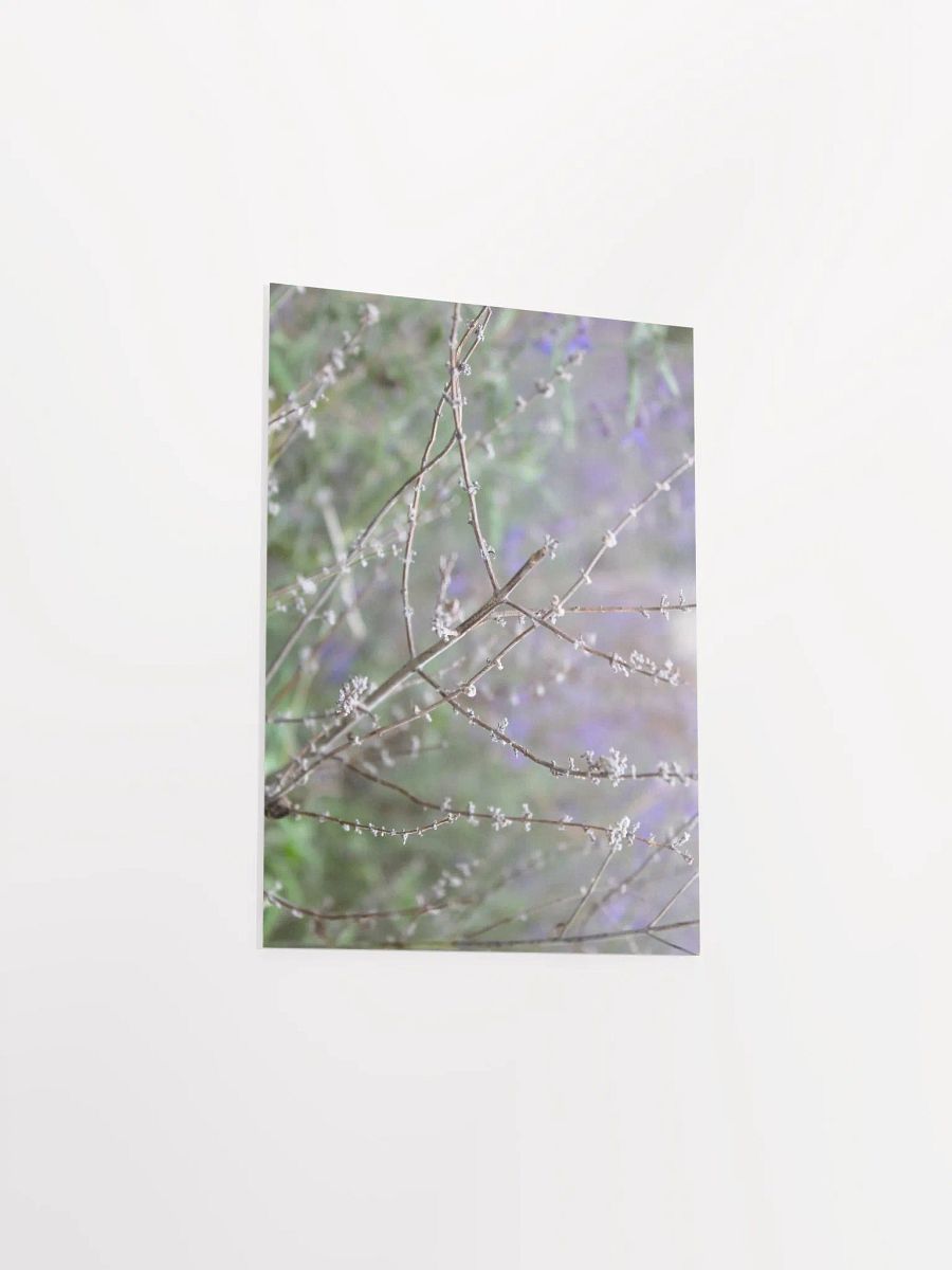 A Study in Flowers 15 product image (35)
