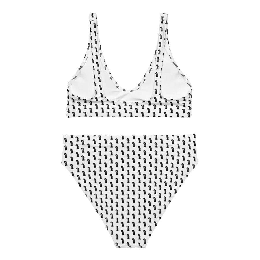 #BASEL Bikini product image (6)