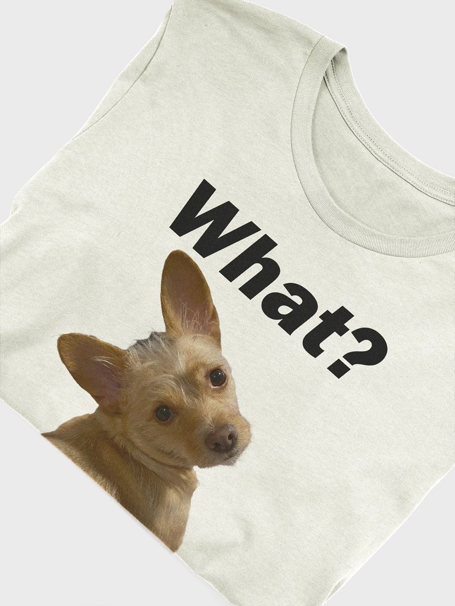 Say What? product image (45)