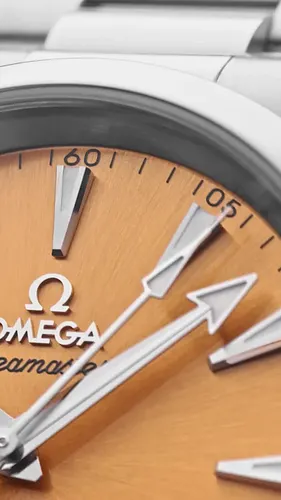 If you’re thinking of buying a watch from one of the biggest watch brands in the world, you’re going to want to make sure you...