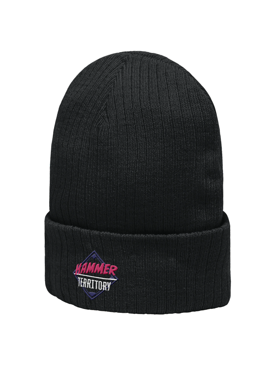 Knit Beanie product image (2)