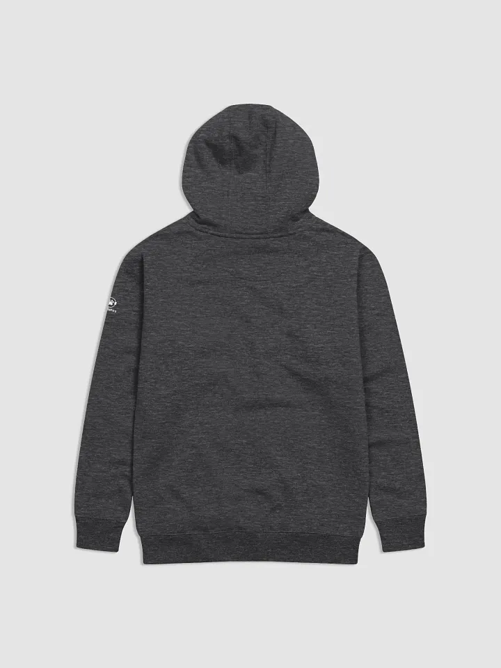 Catlates 100 Hoodie product image (2)