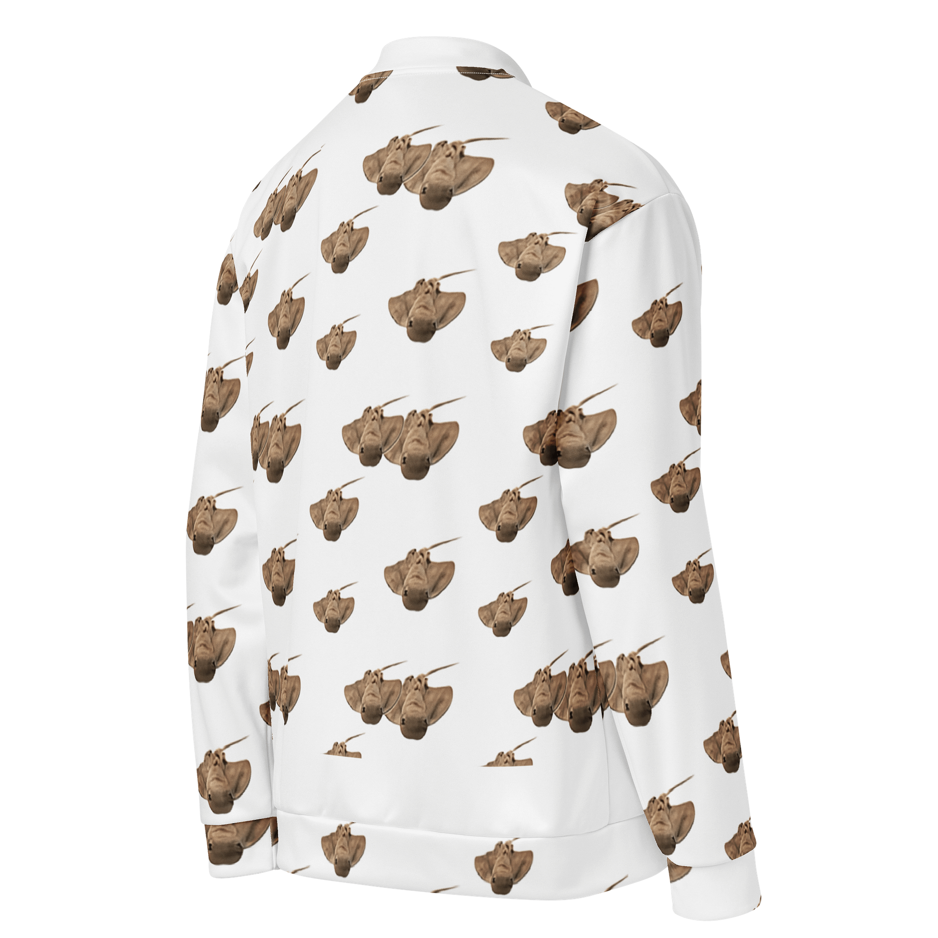 MANTEAU RAIE product image (4)
