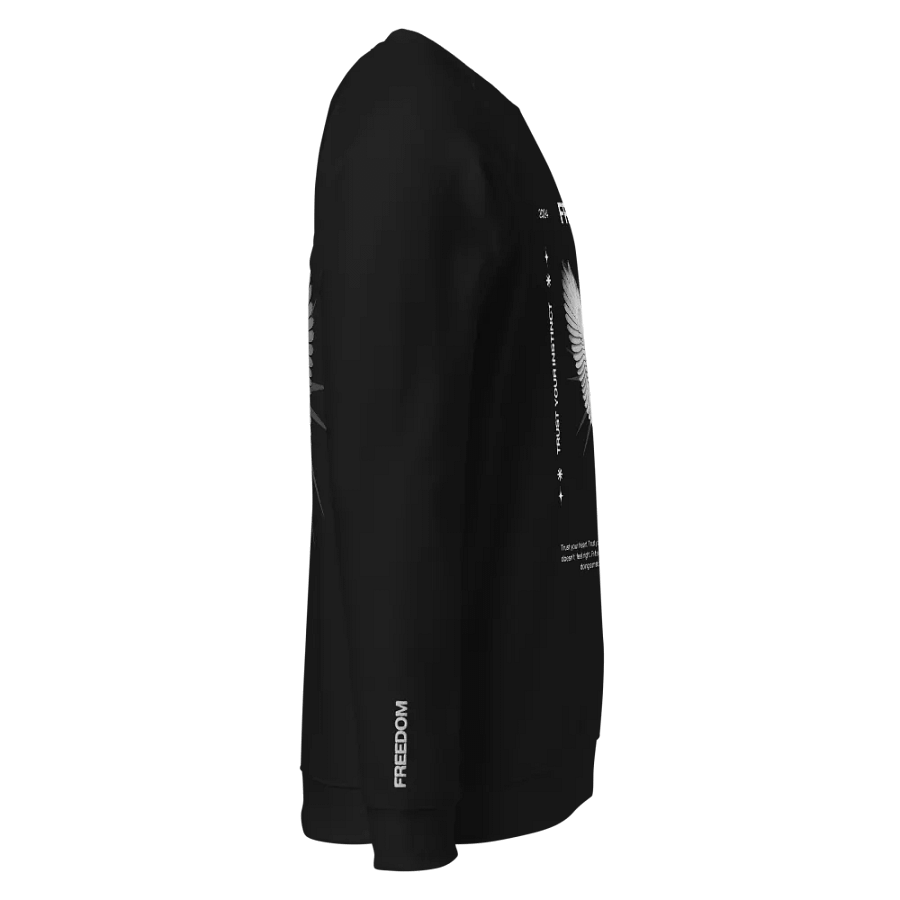 OFFSETDUET FREEDOM Unisex Sweatshirt product image (7)