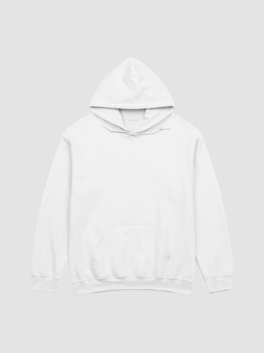 I Had A Copy & Paste Education - Colour - Gildan Classic Hoodie (BACK) product image (2)