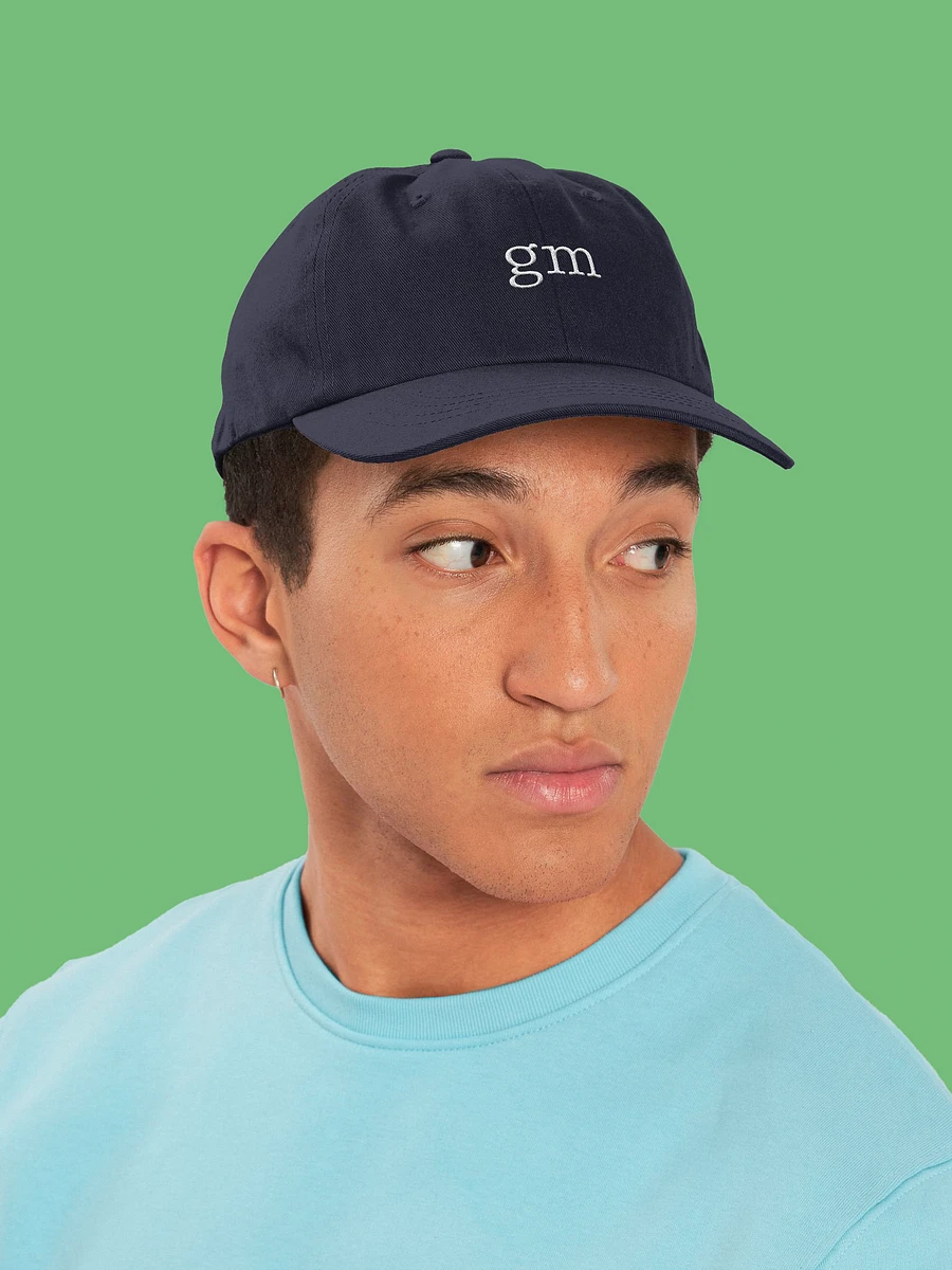 gm Hat product image (10)