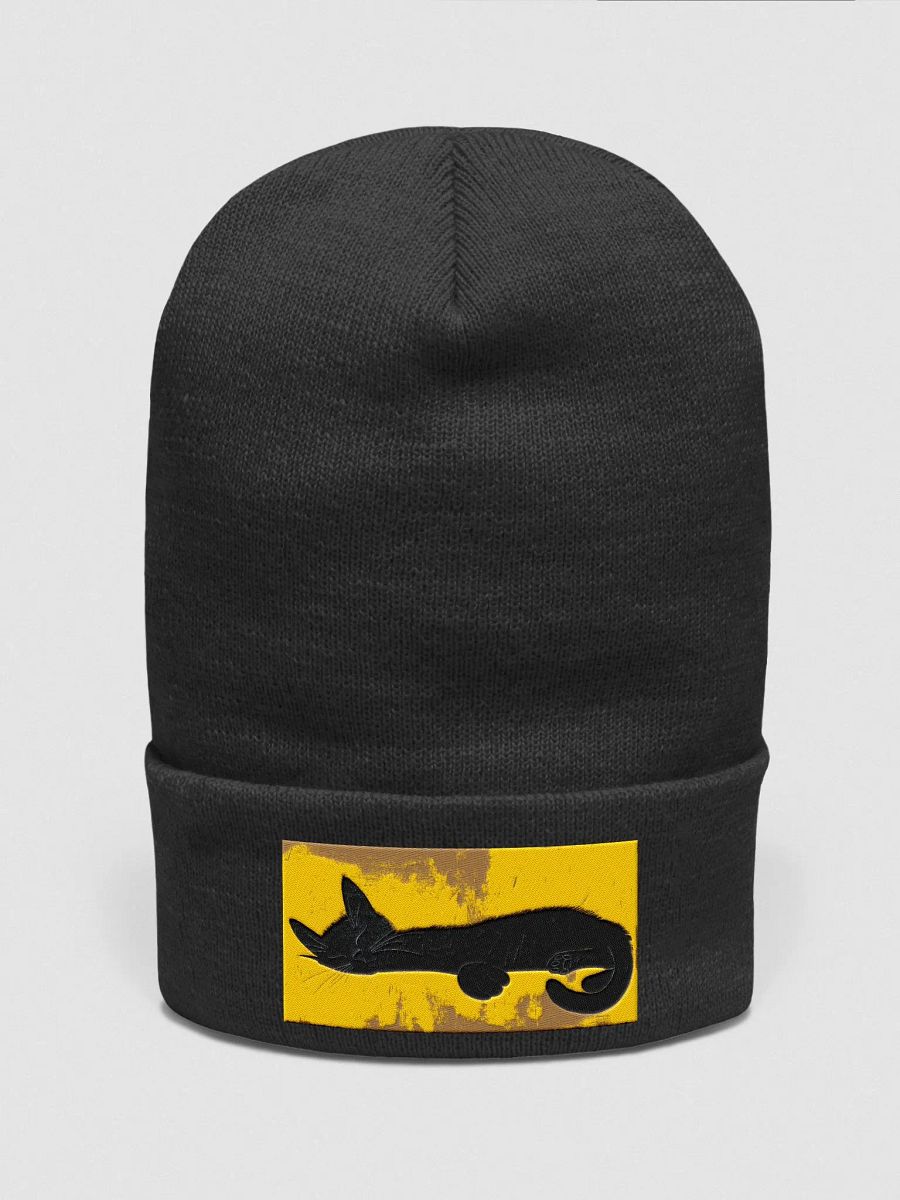 酣睡甜美的黑猫 product image (1)