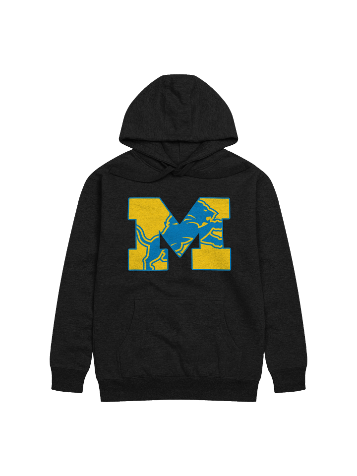 Michigan Lions Hoodie product image (7)