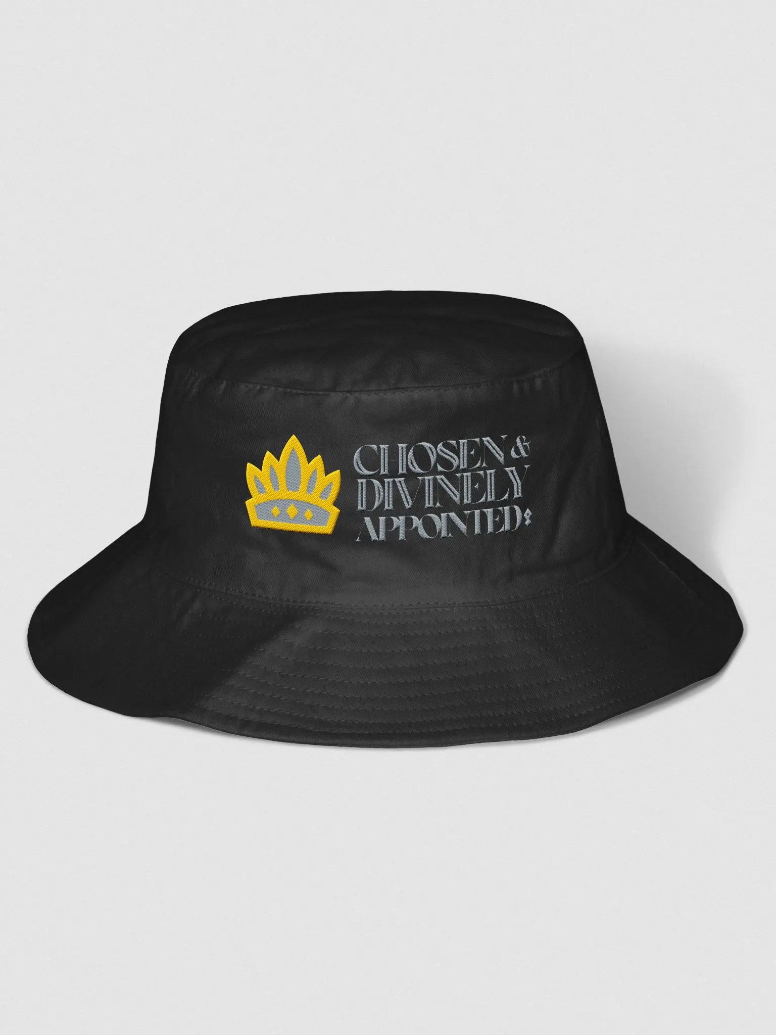 Chosen and Divinely Appointed product image (1)