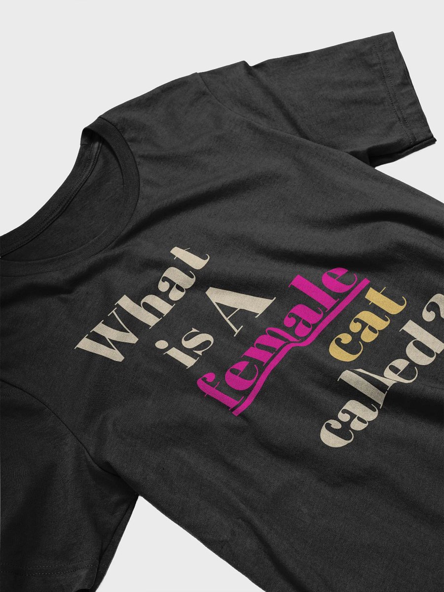 What a Female Cat Is Called" Bella + Canvas Supersoft T-Shirt product image (2)