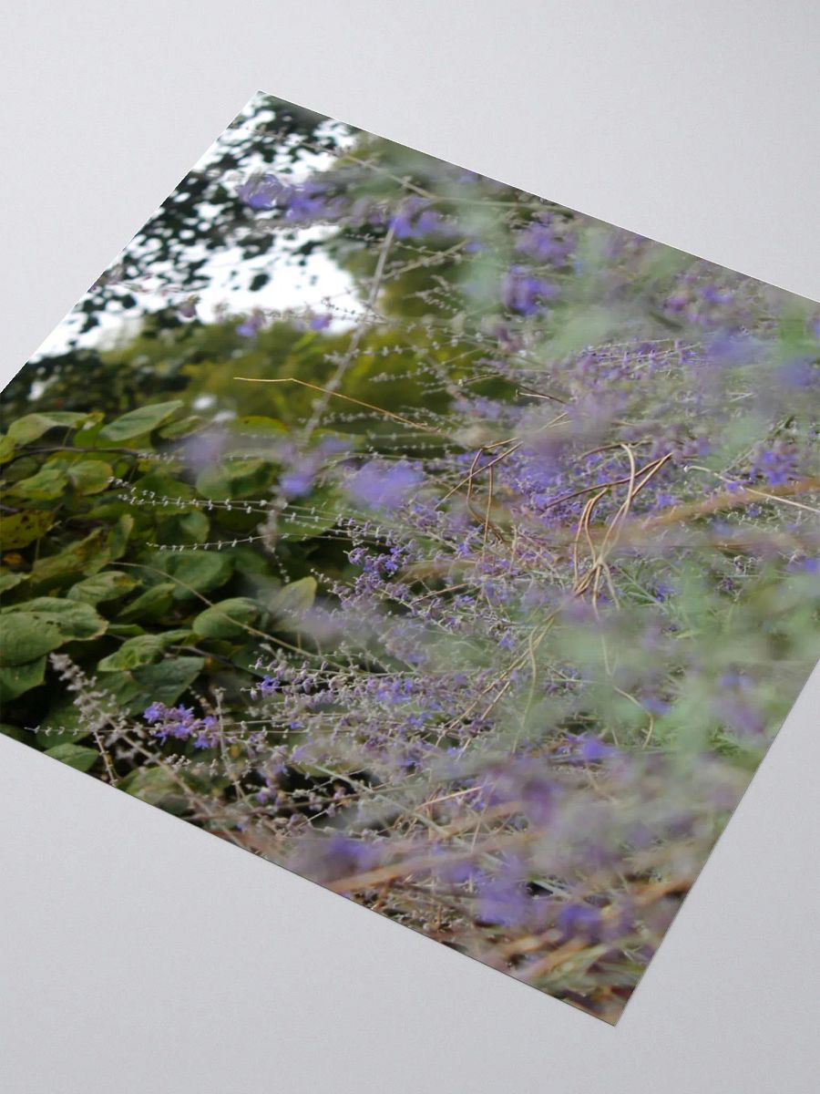 A Study in Flowers 16 - sticker version product image (7)