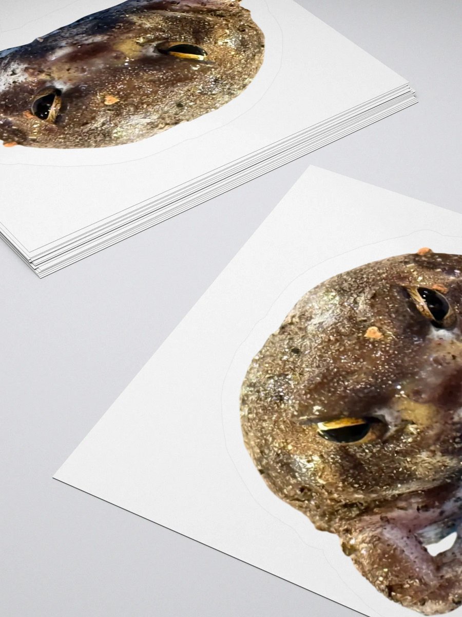 Mad Rain Frog Sticker product image (16)