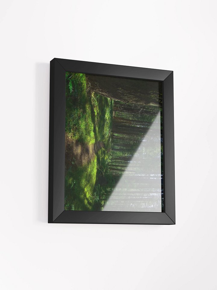 Lower Dungeness Trail Timber sun lighting Matte Poster product image (2)