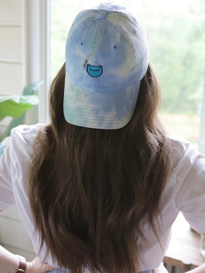Wink Froge Embroidered Tye-Dye Dad Hat product image (6)